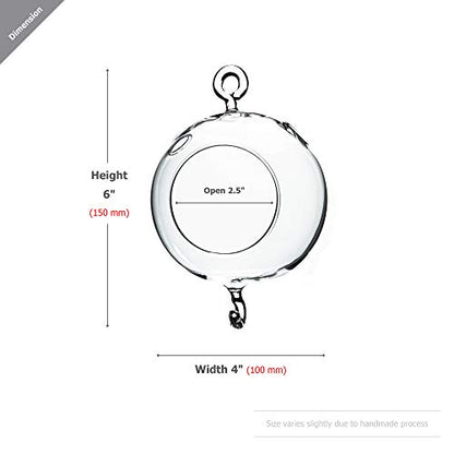 WGV Hanging Terrarium Globe, Width 4", Height 6", Double Hook, DIY Air Succulent Planter, Clear Glass Vase Orb, Candle Holder for Windowsill Outdoor Garden Decor, 1 Piece - size: 4" Double Hook
