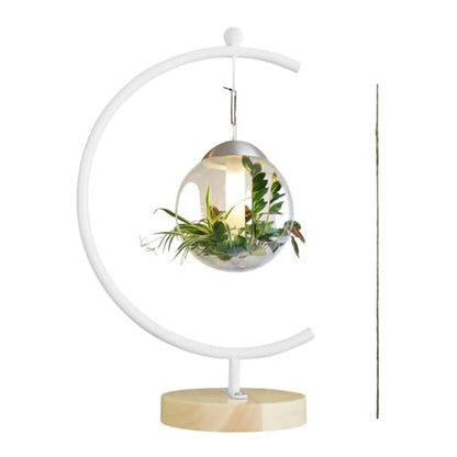 YY YEARCHY Ornament Display Stand Large Metal Air Plant Flower Pot Holder Iron Pothook for Hanging Glass Terrarium Globe Ball - color: White
