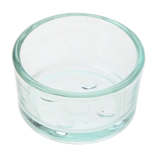 XISAOK Reptiles Food Bowl Anti-Escape Worm Dish Reptiles Glass Feeding Dish Reptiles Drinker Cup for Lizards