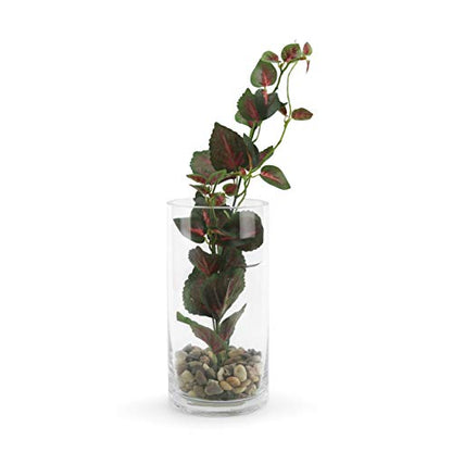WGVI Quality Thick Weighted Clear Cylinder Glass Vases, 4" W x 8" H, Flower Arrangement Floating Candle Holders Wedding Centerpieces Terrarium Planter Floral Pen Brush Storage Container, 1 Piece - size: 4"x8"H