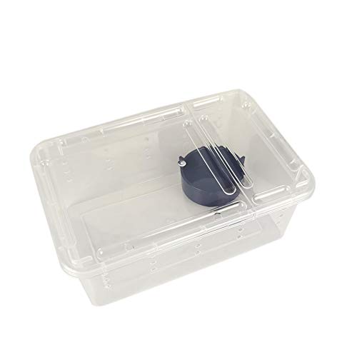 OMEM Portable Reptile Terrarium Habitat for Mini Pet Houses Breathable Holes Stackable Container (XS) - size: 1PCS-Clear-XS