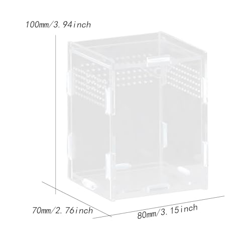 Reptile Feeding Box, Reptile Terrarium, Acrylic, Professional, Spacious Container, for Bearded Dragons, 8x7x10cm - size: 8x7x10cm