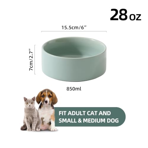 Havniva Cat Bowls Set of Two, 6.1” Ceramic Cat Food and Water Bowls | Cat Food Bowls Whisker Friendly, Non-Slip Base, Food-Grade Ceramic, Wide Opening, Dishwasher Safe, Cat Bowls for Indoor Cats - color: Light Green, size: 2 Bowls - 6.1"
