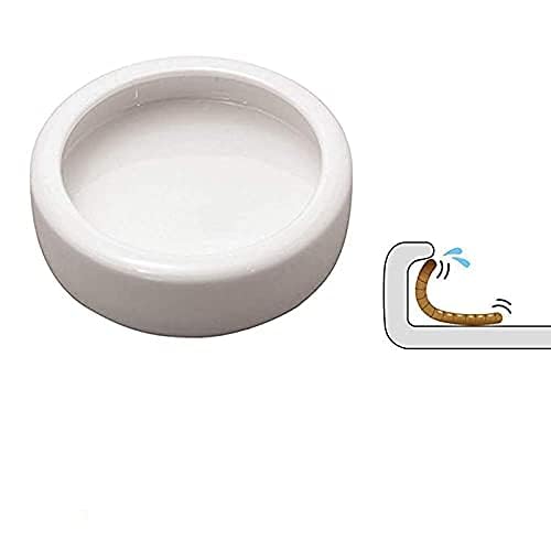 Reptiles Bowl Ceramics Dish 3.9 x 1 inch Round Feeder Anti-Escape Dubia Roach Breadworm Plate with Deep Edge for Lizard Gecko Tortoise (M)
