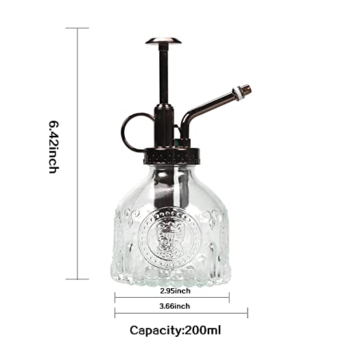 TOMEX Glass Plant Mister Spray Bottle 200ML Vintage Style Plant Spritzer Small Sprayer Mister Succulent Watering Bottle with Top Pump Watering Can for Indoor Outdoor House Plants,Flowers (Clear) - color: Clear
