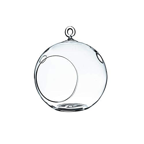 WGV Hanging Terrarium Globe, Width 5", Height 6", DIY Air Succulent Planter, Clear Glass Vase Orb with Flat Bottom, Candle Holder for Windowsill Outdoor Garden Decor, 1 Piece - size: 5" Flat Bottom