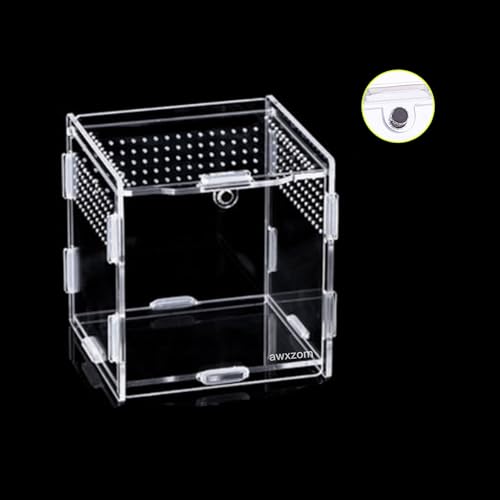 AWXZOM Magnetic Acrylic Case, micro habitat small Tarantula Enclosure enclosure for arboreal Tarantula Scorpion Sling Lizards Mantis Snake Gecko jumping spider snail Insect Isopods (3.5*3.5*3.7inch) - size: 3.5*3.5*3.7inch