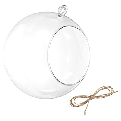 PATIKIL Round Globe Terrarium Air Plant Planter, 6.3 Inch Clear | High Borosilicate Glass, Hanging Decorations, for Succulent, Tillandsia - size: 6.3 Inch