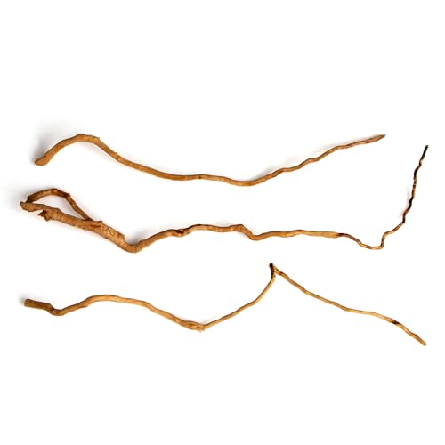 Natural Aquarium Driftwood, [170g] ( 20–40 cm /8–16 in) - Unique Root/Spider Wood Branches for Aquascaping, Planted Tanks & Terrariums, Fish & Plants Decoration, Each Piece One-of-a-Kind (Roots Only) - style: Roots Only