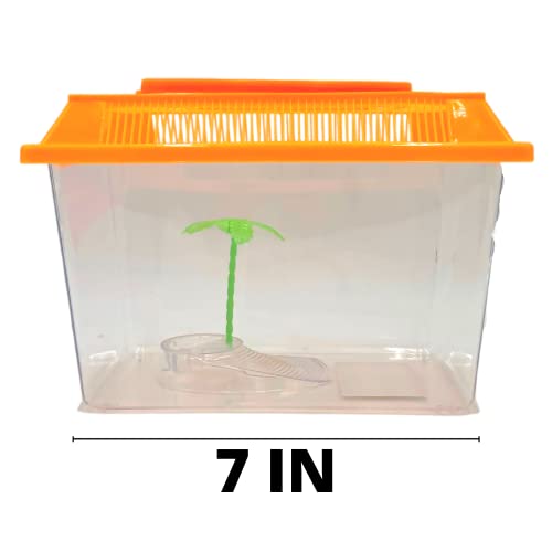 Needzo Mini Neon Plastic Reptile Carrier, Small Terrariums for Hermit Crabs, Lizards, and More with Palm Tree Accessory, Crab Hunting Supplies, Color May Vary, 7 Inches