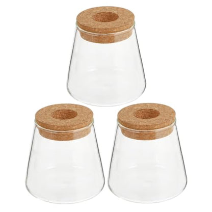 3pcs Glass Plant Propagation Station with Wood Lid, Desktop Hydroponic Vase for Flowers and Plants, Stylish Glass Terrarium for Office Desk or Corner, Ensures Clean Indoor