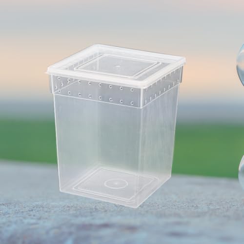 YARNOW Reptile Feeding Box for Lizards and Spiders Lightweight Pp Material with Ventilated Design Suitable for Feeding and Temporary Quarantine Zone