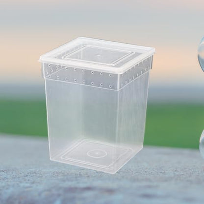 YARNOW Reptile Feeding Box for Lizards and Spiders Lightweight Pp Material with Ventilated Design Suitable for Feeding and Temporary Quarantine Zone