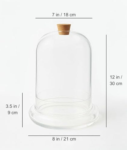 Handblown 12" Glass Terrarium with Opening for Air Flow & Cork Stopper Cloche Style Glass Dome Vivarium Display Case (Extra Large) - size: Extra Large