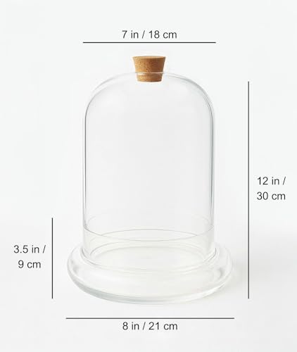 Handblown 12" Glass Terrarium with Opening for Air Flow & Cork Stopper Cloche Style Glass Dome Vivarium Display Case (Extra Large) - size: Extra Large