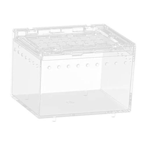 Reptile Breeding Box, Reptile Terrarium, Animal Habitat, Cage, Enclosure, Cage for Turtle Container, 7cmx8cmx10cm - size: 7cmx8cmx10cm