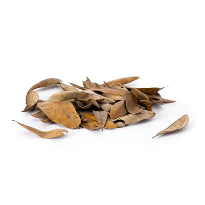 Galápagos (05154) Natural Live Oak Leaf Litter, Ideal Leaf Litter for Reptiles, Isopods & Bioactive Terrariums, 4QT, Natural