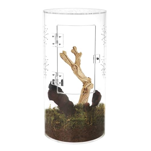 NANEEZOO Acrylic Tarantula Enclosure Jumping Spider Enclosure with Front Opening Door Micro Habitat Terrarium for Small Tree Dwelling Reptiles, Spiders & Invertebrates - size: 6x6x12 Inch