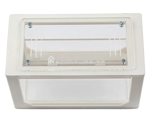 Anthouse.ES - 3D Aquarium-Style Natural Ant Farm - Sand Ant Farm - Complete Kit with Sand and Accessories - Starter Model 20x10x10 cm - Green Color - color: Green