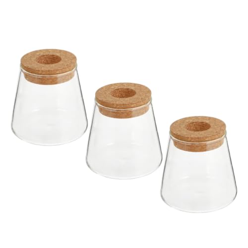 3pcs Glass Hydroponic Plant Vases with Wood Lid Plant Propagation Terrariums for Desk and Home Decor Stylish Desktop Containers Showcasing Root Growth for Flowers