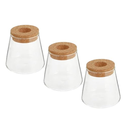 3pcs Glass Hydroponic Plant Vases with Wood Lid Plant Propagation Terrariums for Desk and Home Decor Stylish Desktop Containers Showcasing Root Growth for Flowers