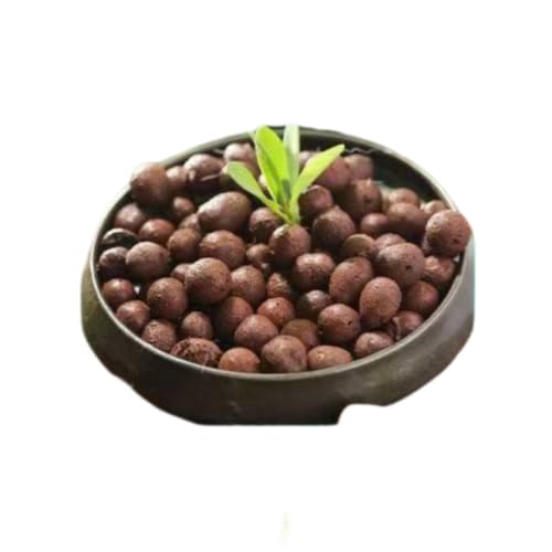 Hydroponics Clay Pebbles Lightweight Ceramsite Water Retention Porous Balls - color: 1 lb, size: Medium (10-15mm)