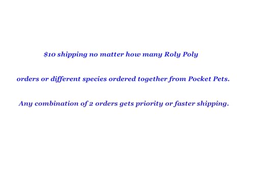 Pocket Pets 30 Dwarf White Isopods and Mixed Springtail Eggs in Living Bioactive Soil Clean Up Crew for Reptile and Amphibian Food Order only if Your 5 Day Forecast Temps are Between 20 and 95