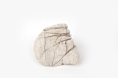 Elephant Skin Stone Grey Aquascaping Rock 18lb Planted Aquarium | Grey wrinkled texture; iwagumi and terrarium - size: 16 Elephant Skin Stone Grey(3-9 inches,18lbs)