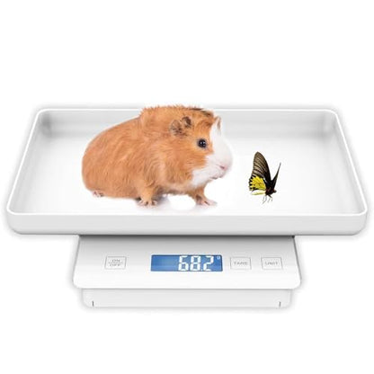 11lbs/0.1g Pet Scale for Small Animal, Whelping Scale, Guinea Pig Weighing Scale, High Precision 0.003oz, Suitable for All Newborn Pets, Kittens, Turtles, - color: White 0.1g