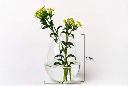 Kingbuy Egg Shaped for Propagating Hydroponic Plants 2 Pack Wall Planter | Borosilicate glass, clear & durable. Egg-shaped wall-mounted vases. Ideal for hydroponics, air plants, cuttings. Great gift. - color: Ellipse Shape