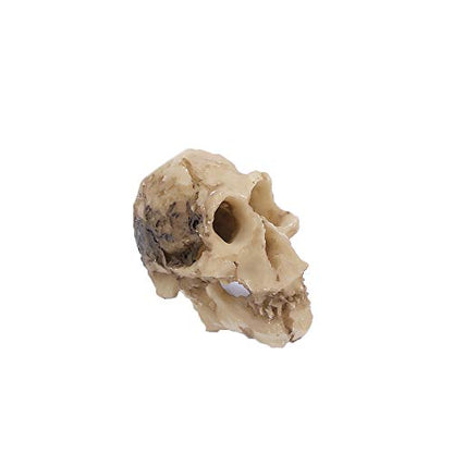 Leadigol 3PCS Aquarium Skull Reptile House Decor Resin Head Skeleton Ornament Aquarium Landscaping Hideout Cave Shelter for Reptile or Fish