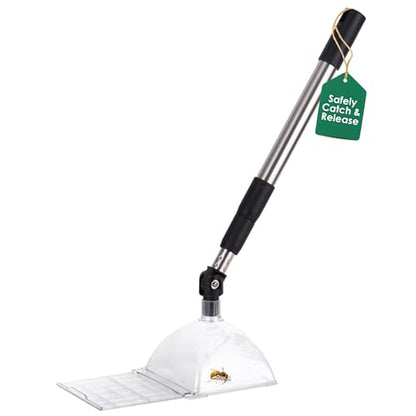 Bug Catcher Container & Extendable Stainless Steel Stick | See-Through Insect Trap for Spiders, Ants, Lizards | Humane Bug Catcher for Home | Educational Tool for Kids & Adults