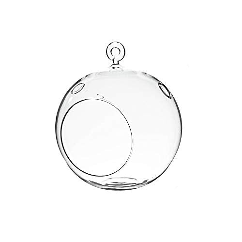 WGVI WGV Hanging Terrarium Globe, Width 6", Height 6.5", DIY Air Succulent Planter, Clear Glass Vase Orb with Flat Bottom, Candle Holder for Windowsill Outdoor Garden Decor, 1 Piece - size: 6" Flat Bottom