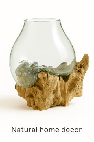 OMA Hand Blown Molten Glass on Driftwood Terrarium Vase or Planter – Recycled Glass & Natural Wood for Coastal & Boho Home Décor (12"–14" High) - size: 12" - 14" High