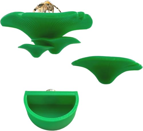 2 Pack Jumping Spider Accessories Mushroom Ledges & 1 Pack Water Bowl with Magnets for Spoods Jumping Spiders Magnetic Ledge Ladder Pet Spider Accessories - color: green