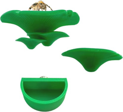 2 Pack Jumping Spider Accessories Mushroom Ledges & 1 Pack Water Bowl with Magnets for Spoods Jumping Spiders Magnetic Ledge Ladder Pet Spider Accessories - color: green