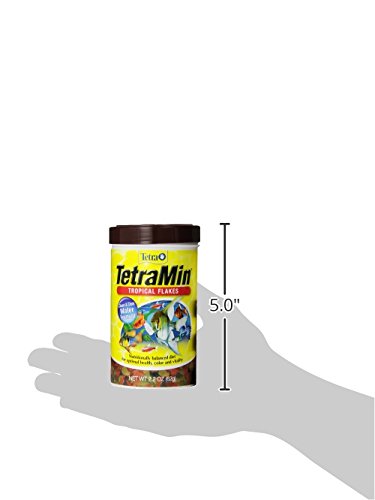 TetraMin Nutritionally Balanced Tropical Flake Food for Tropical Fish, 2.2 oz (Pack of 2) - size: 2.2 Ounce (Pack of 2)