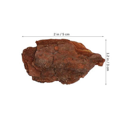 Tree Bark Base Material for DIY Model Scenes Lightweight Natural Miniature Nature Decor 1.96X1.18X0.19In Essential Architecture Model Supplies for Terrariums and Train Sets