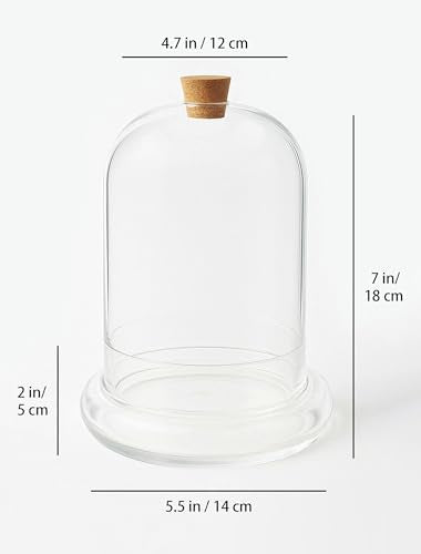 Handblown 7" Glass Terrarium with Opening for Air Flow & Cork Stopper Cloche Style Glass Dome Vivarium Display Case (Small) - size: Small