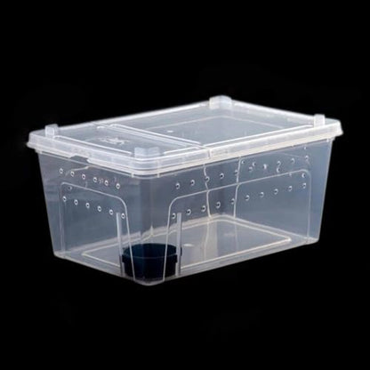 Reptile Breeding Case Feeding Box Terrarium Animal Transparent PP Container Easy Observation Suitable for Pet Hatching Transport Breeding, 27x19x12cm - size: 27x19x12cm