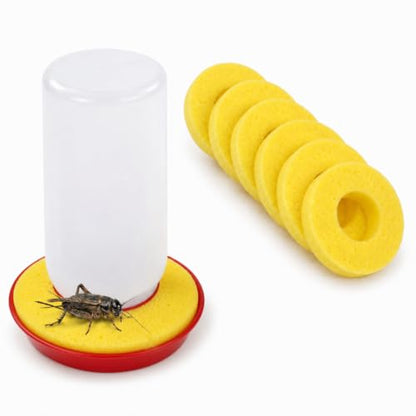 Auto Cricket Waterer Kit Insect Water Feeder with 6 Pcs Circular Sponge Insect Water Dispenser for Feeder Insects Cricket Spider Ant Tarantula