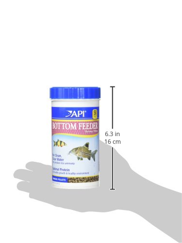 API BOTTOM FEEDER PELLETS WITH SQUID Fish Food 7.9-Ounce Container - size: 7.9 Ounce (Pack of 1), style: Bottom Feeders