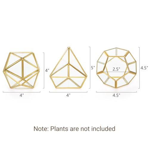 Mkono 3 Pack Geometric Glass Terrarium, 4" Gold Air Plant Holder Tabletop | Modern Centerpiece Decor, 3 Shapes Metal Frame, Fits Succulent Moss Fairy Garden Shelf Coffee Table, Plants Not Included - color: Gold