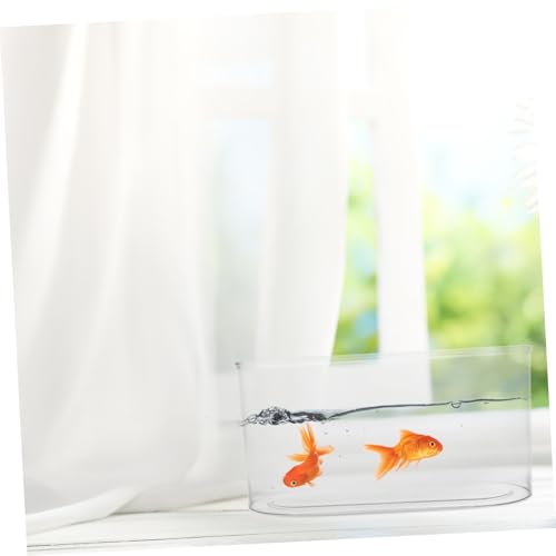YARNOW Desktop Transparent Plastic Aquarium Shatterproof Betta Fish Tank for Turtle Reptile Shrimp and Crab Habitat Easy to Clean Compact Design for Home Office