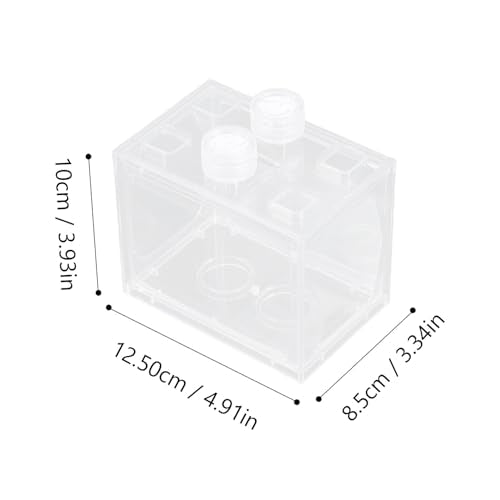 HOMSFOU Mini LED Light-up Acrylic Aquarium Kit, Small Desktop Terrarium with Full Spectrum LED Light, Creative Micro Aquatic Ecosystem for Home and Office Decor