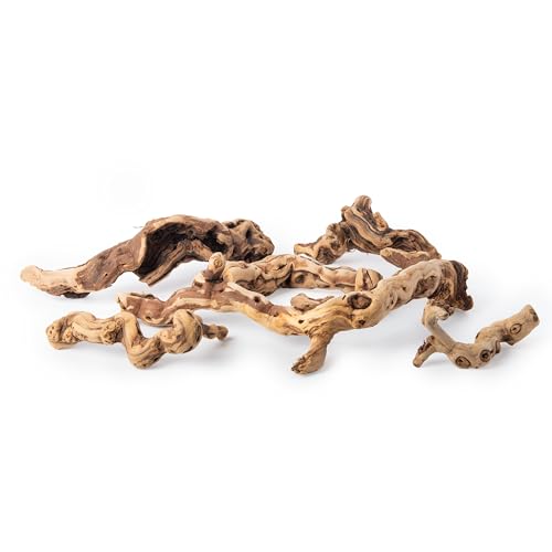 Galápagos (05536) Burro Wood Grapevine Logs – Natural Branch Décor for Arid & Temperate Terrariums | Air Plant Display Wood & Reptile Habitat, Set of 7 Assorted Pieces (3” – 13”)