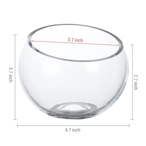 MyGift Premium Hotel Series 5 Inch Round Clear Glass Air Plant Terrariums, Mini Candy Bowl Jars, Tealight Candle Holders, Succulent Cactus Vases, Set of 4 - size: Set of 4 (Round)