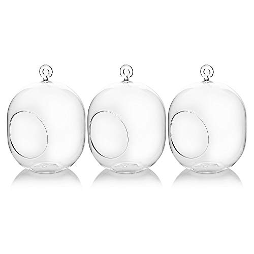 WGV Hanging Glass Plant Terrarium Bulk, Width 5", Height 6", Lantern DIY Air Succulent Planter Clear Tea Light Votive Candle Holder, Wedding Event Office Home Outdoor Decor, 3 Pieces