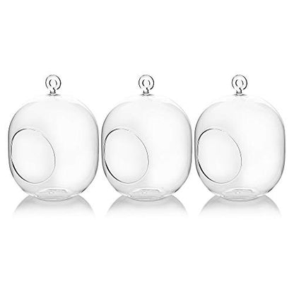 WGV Hanging Glass Plant Terrarium Bulk, Width 5", Height 6", Lantern DIY Air Succulent Planter Clear Tea Light Votive Candle Holder, Wedding Event Office Home Outdoor Decor, 3 Pieces
