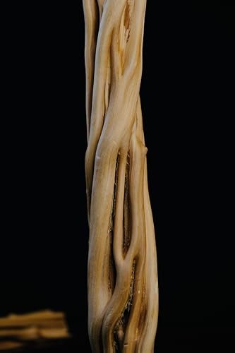 Azil Natural Vine Wood Branch for Reptile Terrarium – 17–20 Inch Climbing Decor for Lizard, Snake, Gecko, Chameleon, Bearded Dragon Tank (2 Piece)